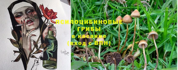 твердый Балабаново